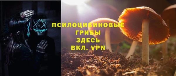 спиды Алексеевка