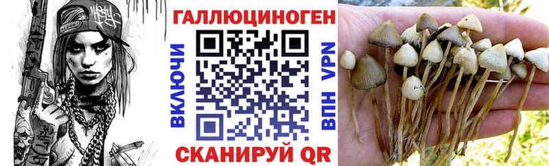 Галлюциногенные грибы GOLDEN TEACHER  Аркадак 